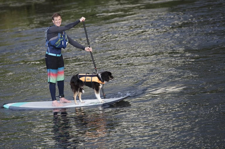 Person in wetsuit paddleboarding with a dog wearing a life jacket on a calm river